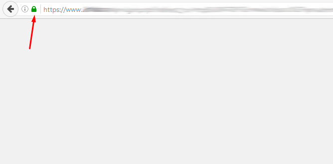 ssl-ok